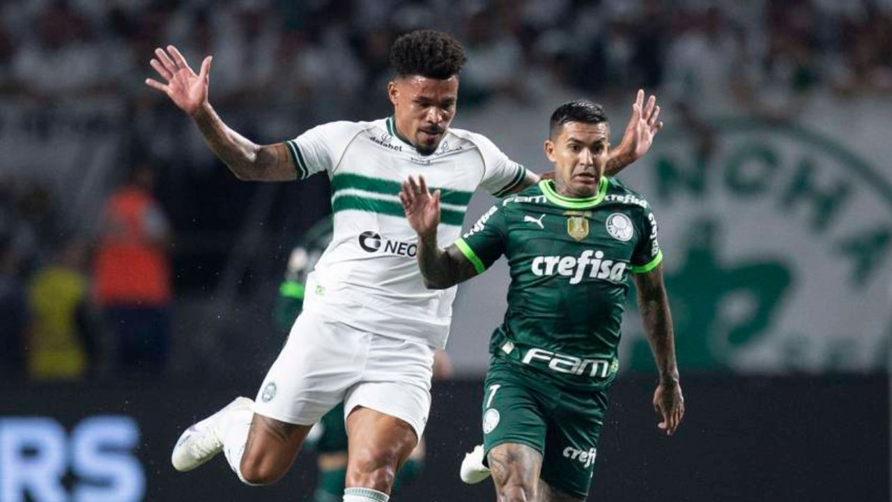junior-urso-coritiba