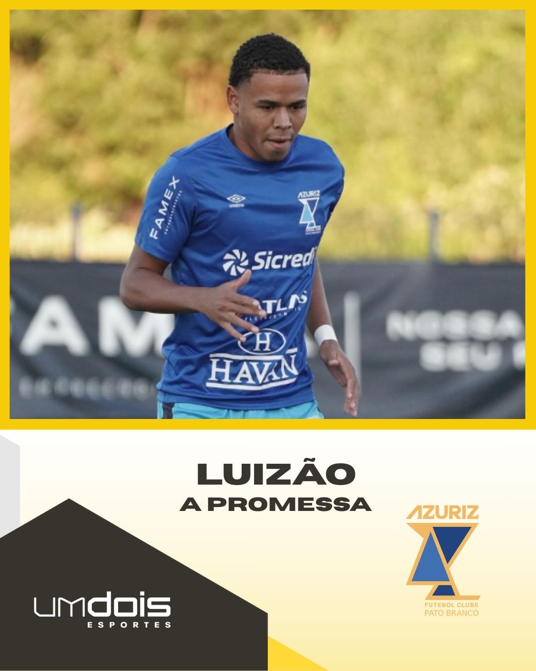 luizao
